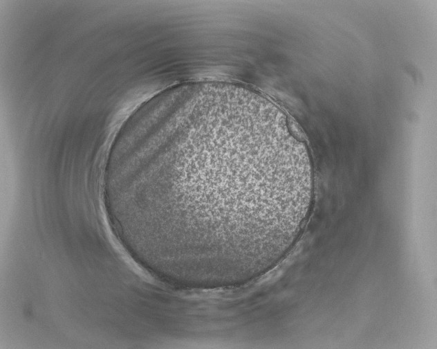 X0000115510049200911271439