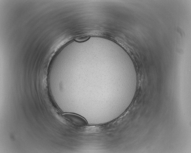 X0000115510050200911271439