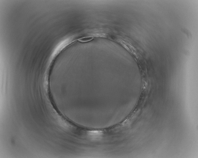 X0000115510053200911271439