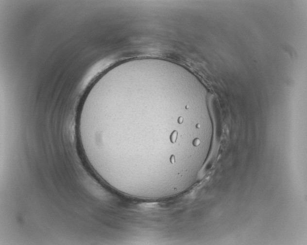 X0000115510054200911271439