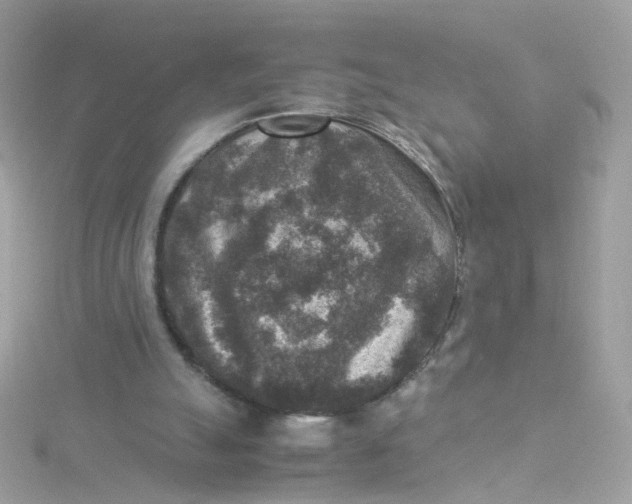 X0000115510055200911271439