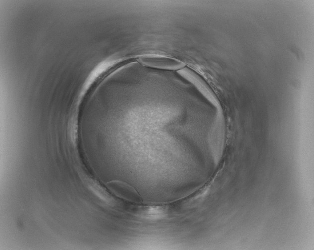 X0000115510056200911271439