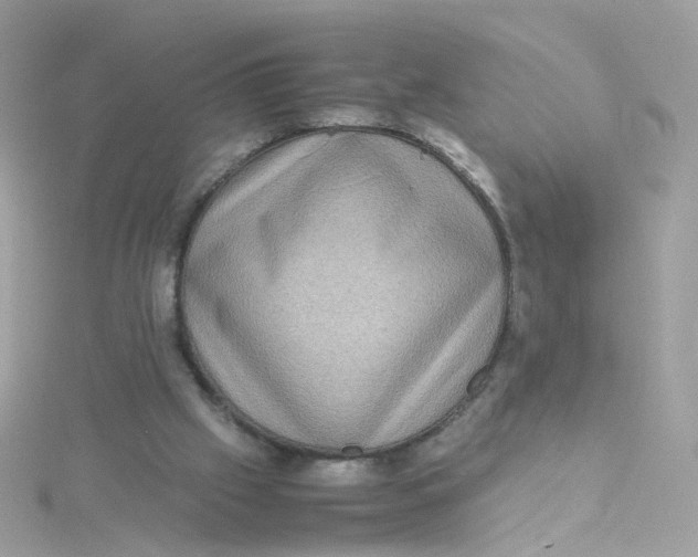 X0000115510057200911271439