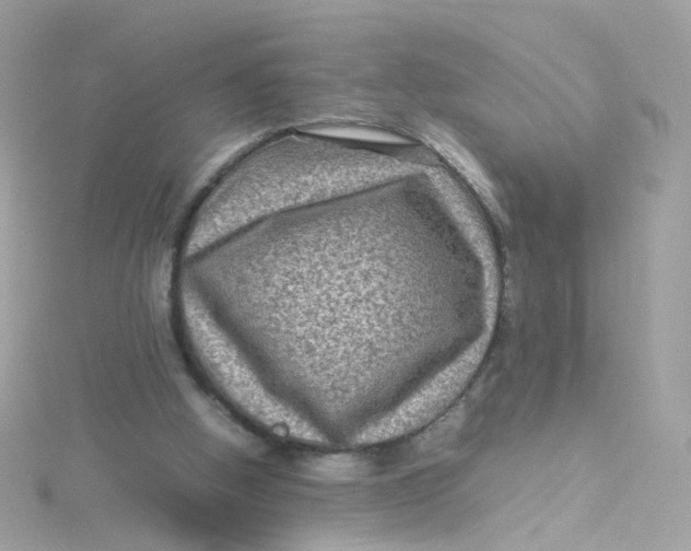 X0000115510058200911271439