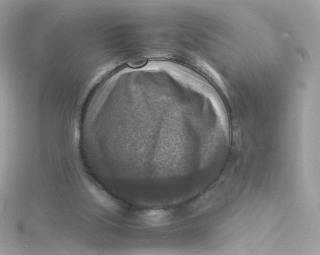 X0000115510059200911271439