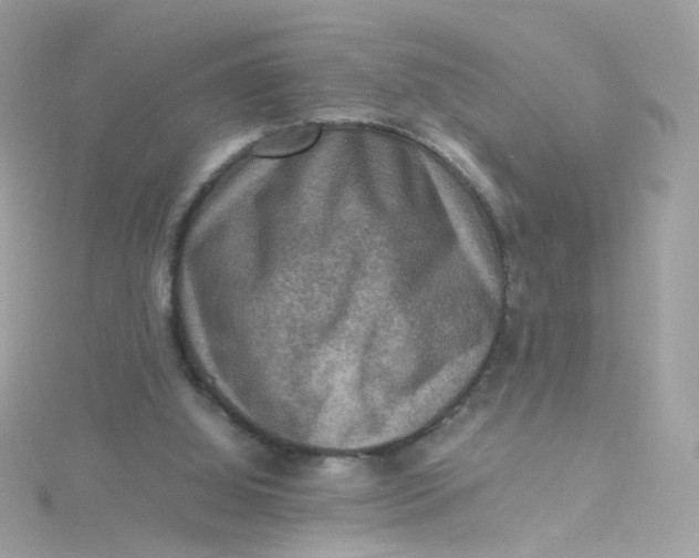 X0000115510060200911271439