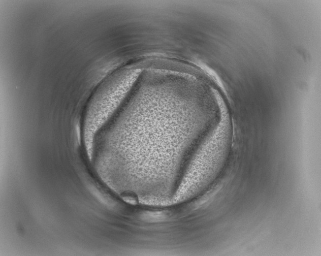 X0000115510061200911271439