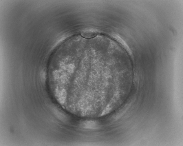 X0000115510063200911271439