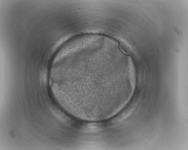 X0000115510064200911271439