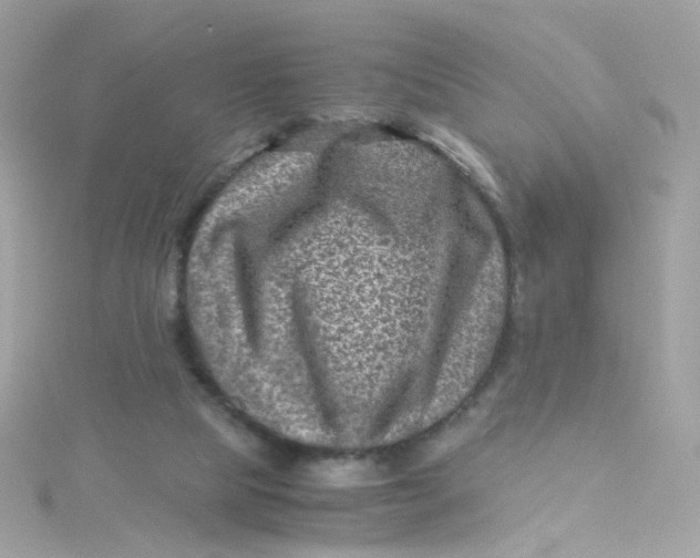 X0000115510065200911271439