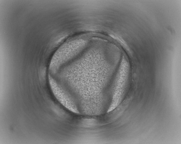 X0000115510066200911271439