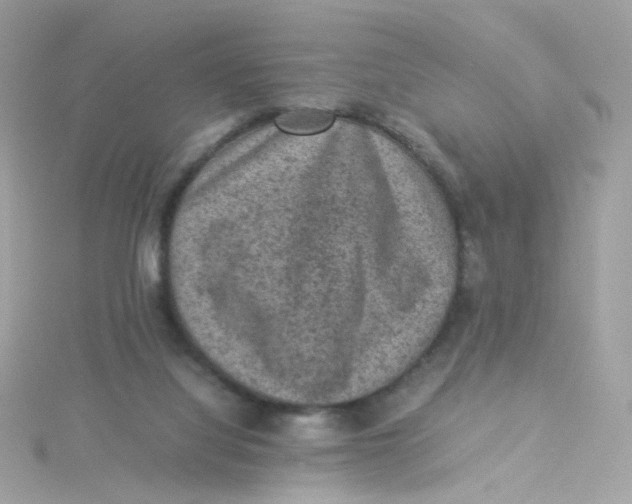 X0000115510068200911271439