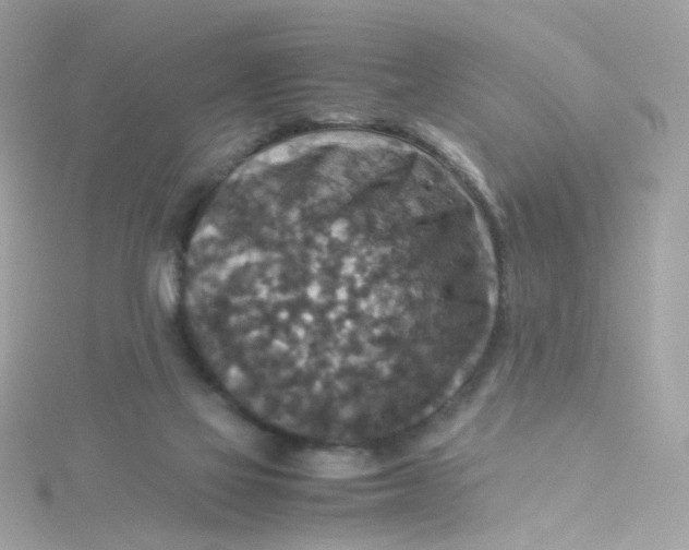 X0000115510069200911271439