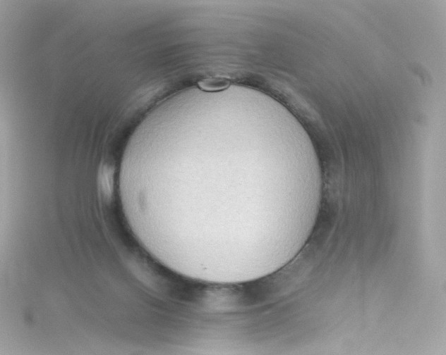 X0000115510070200911271439