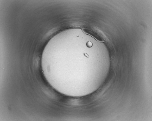 X0000115510071200911271439