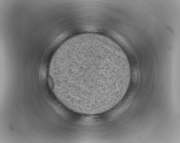 X0000115510072200911271439