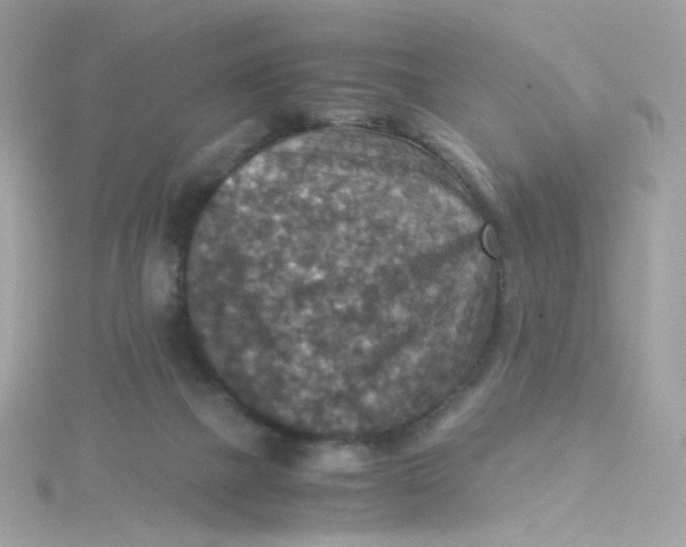 X0000115510073200911271439