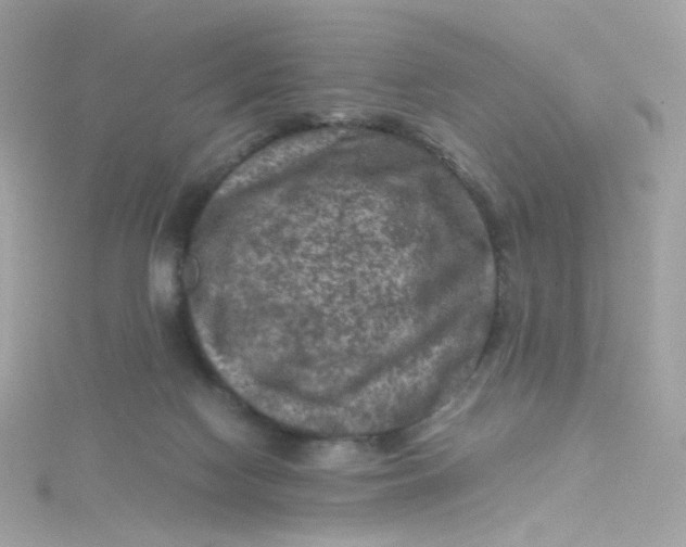 X0000115510074200911271439