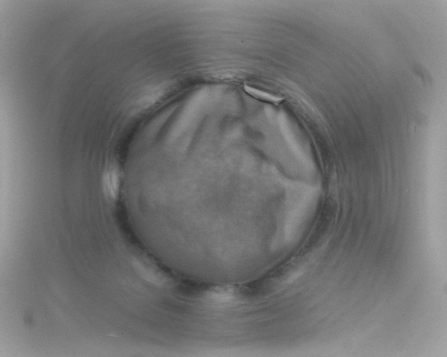 X0000115510076200911271439