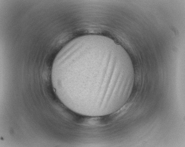 X0000115510078200911271439