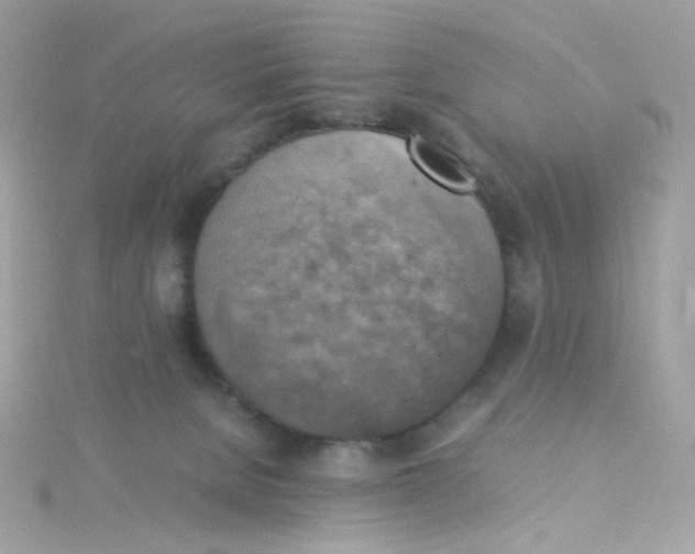 X0000115510080200911271440