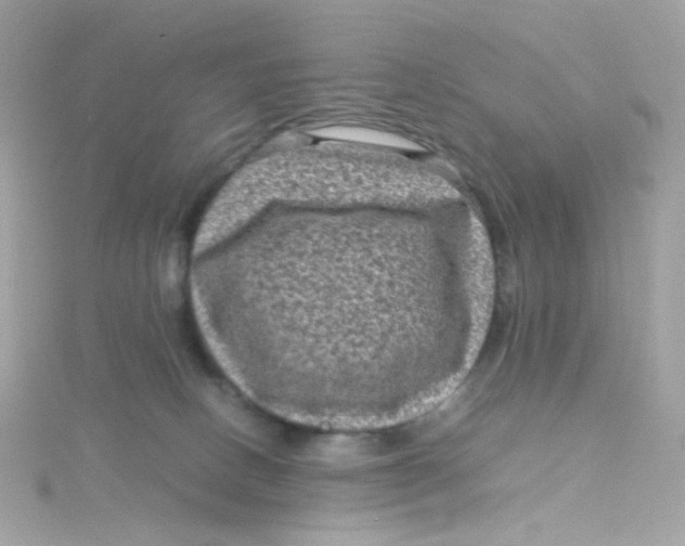 X0000115510082200911271440