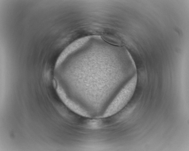 X0000115510088200911271440