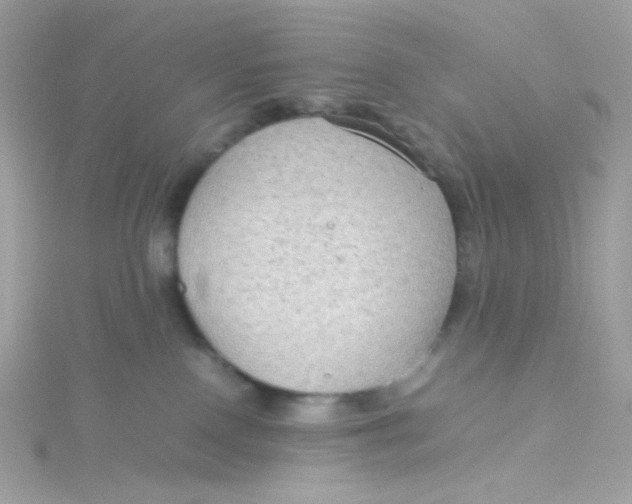 X0000115510090200911271440