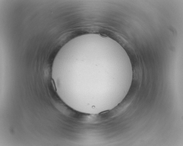 X0000115510092200911271440