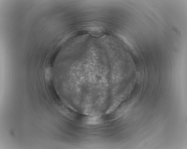 X0000115510093200911271440