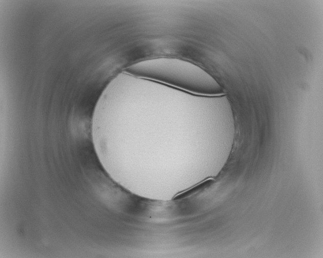 X0000115510096200911271440