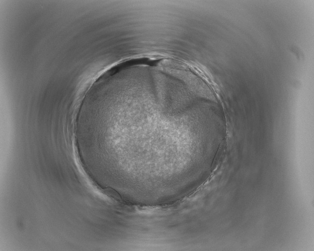 X0000115510097200911271439