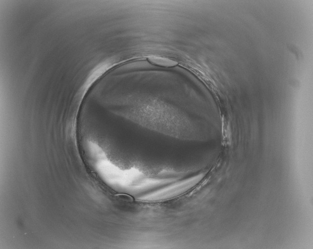 X0000115510099200911271439