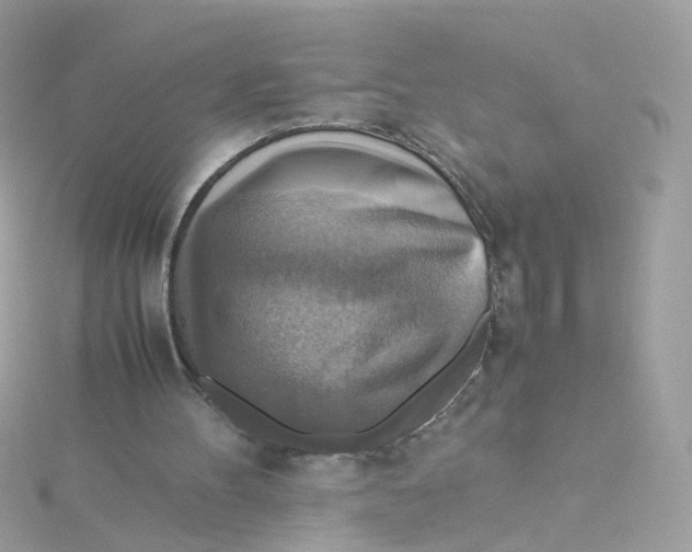 X0000115510100200911271439