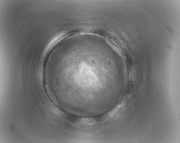 X0000115510101200911271439