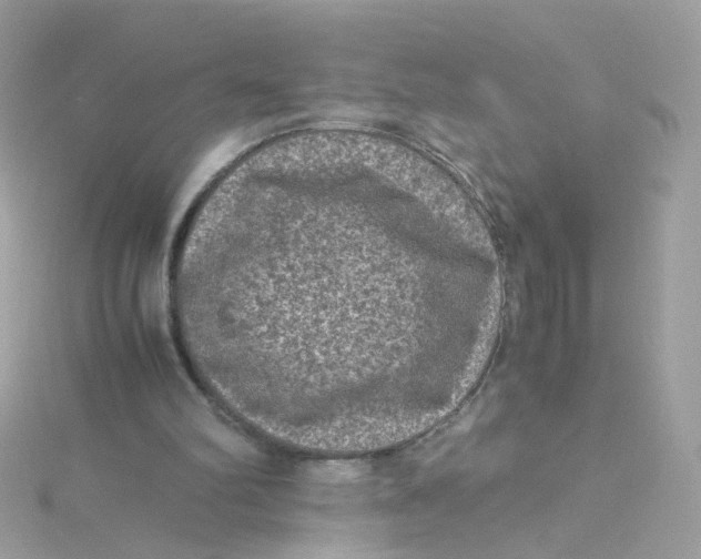 X0000115510102200911271439