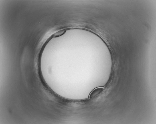 X0000115510103200911271439