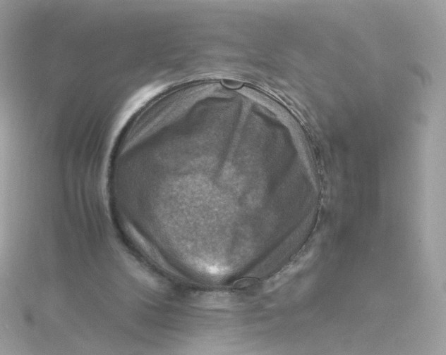 X0000115510104200911271439