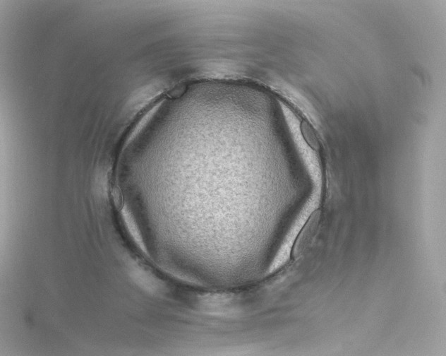 X0000115510105200911271439