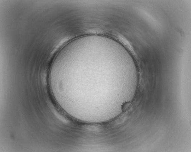 X0000115510106200911271439