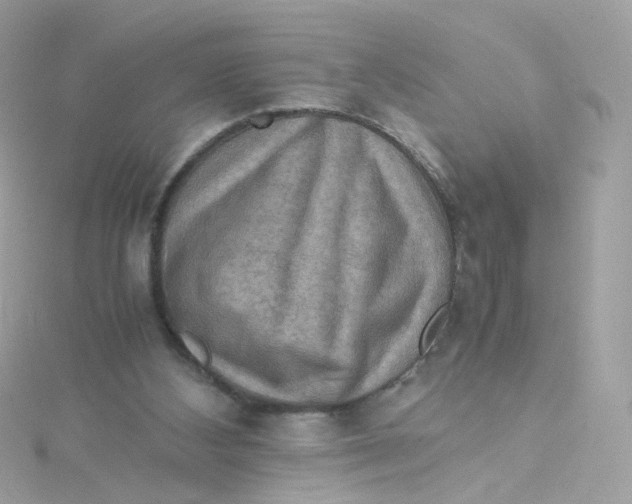 X0000115510108200911271439