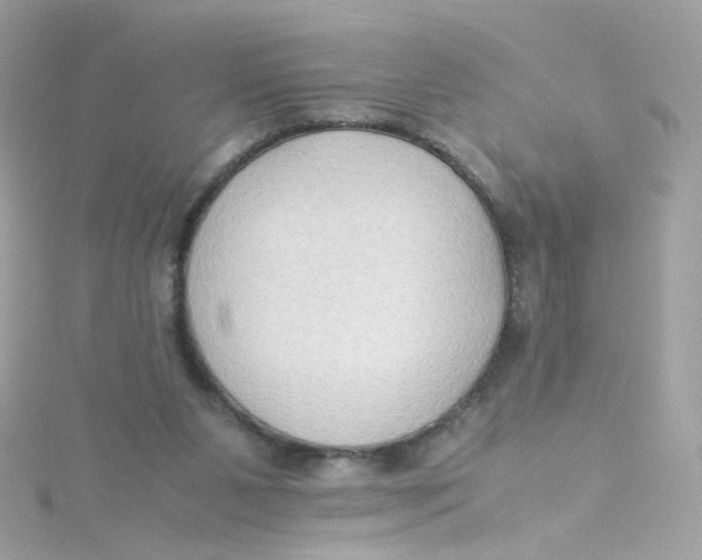 X0000115510111200911271439