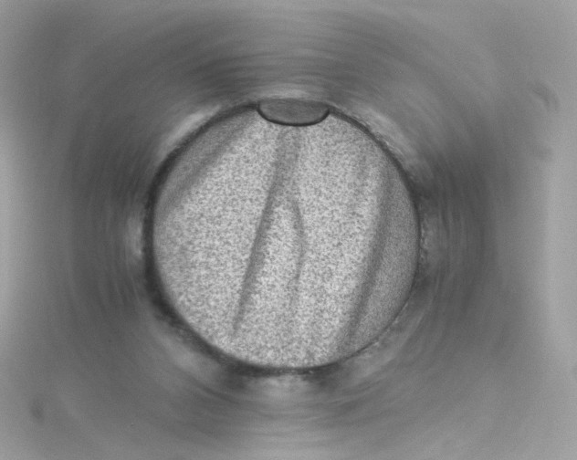 X0000115510112200911271439