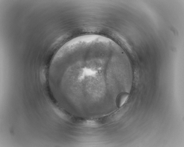 X0000115510114200911271439