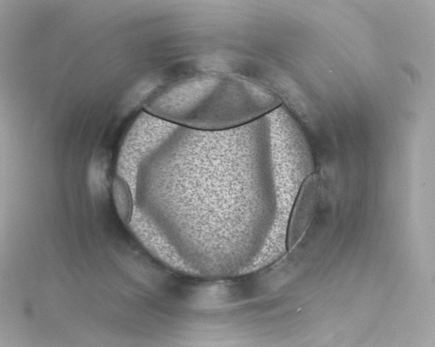 X0000115510116200911271439