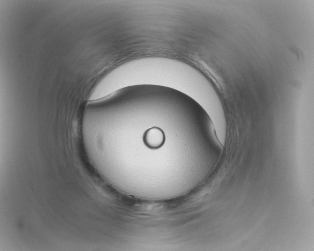 X0000115510117200911271439