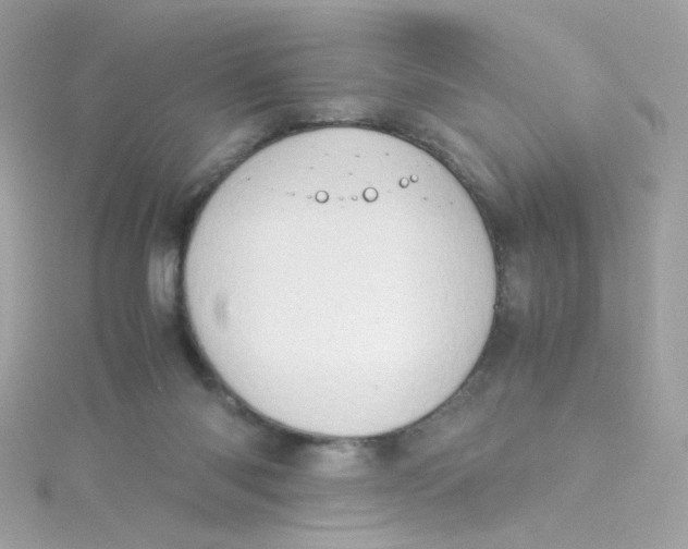 X0000115510118200911271439