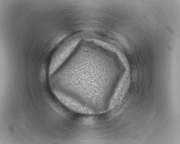 X0000115510120200911271439