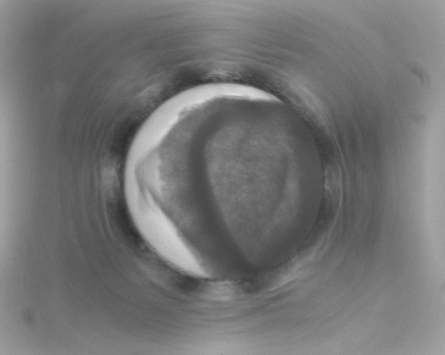 X0000115510127200911271439