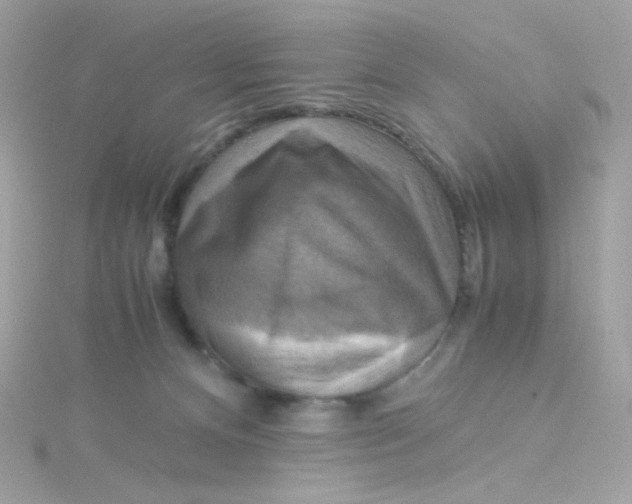 X0000115510128200911271439